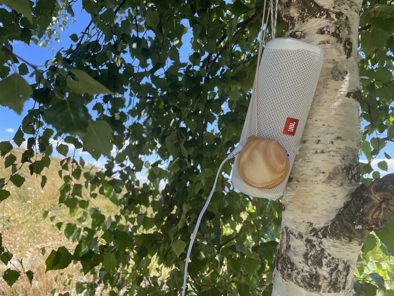 Due immagini di un albero e di una pianta.